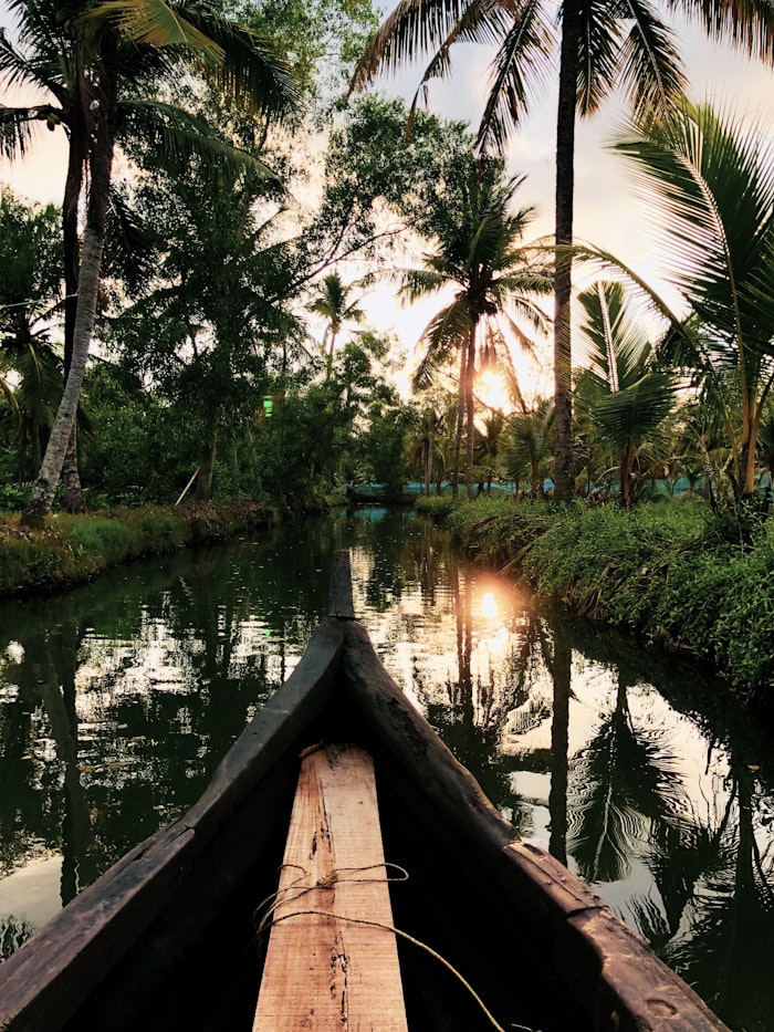 Traditional boat on a palm-lined Kerala backwater at Rajah Island